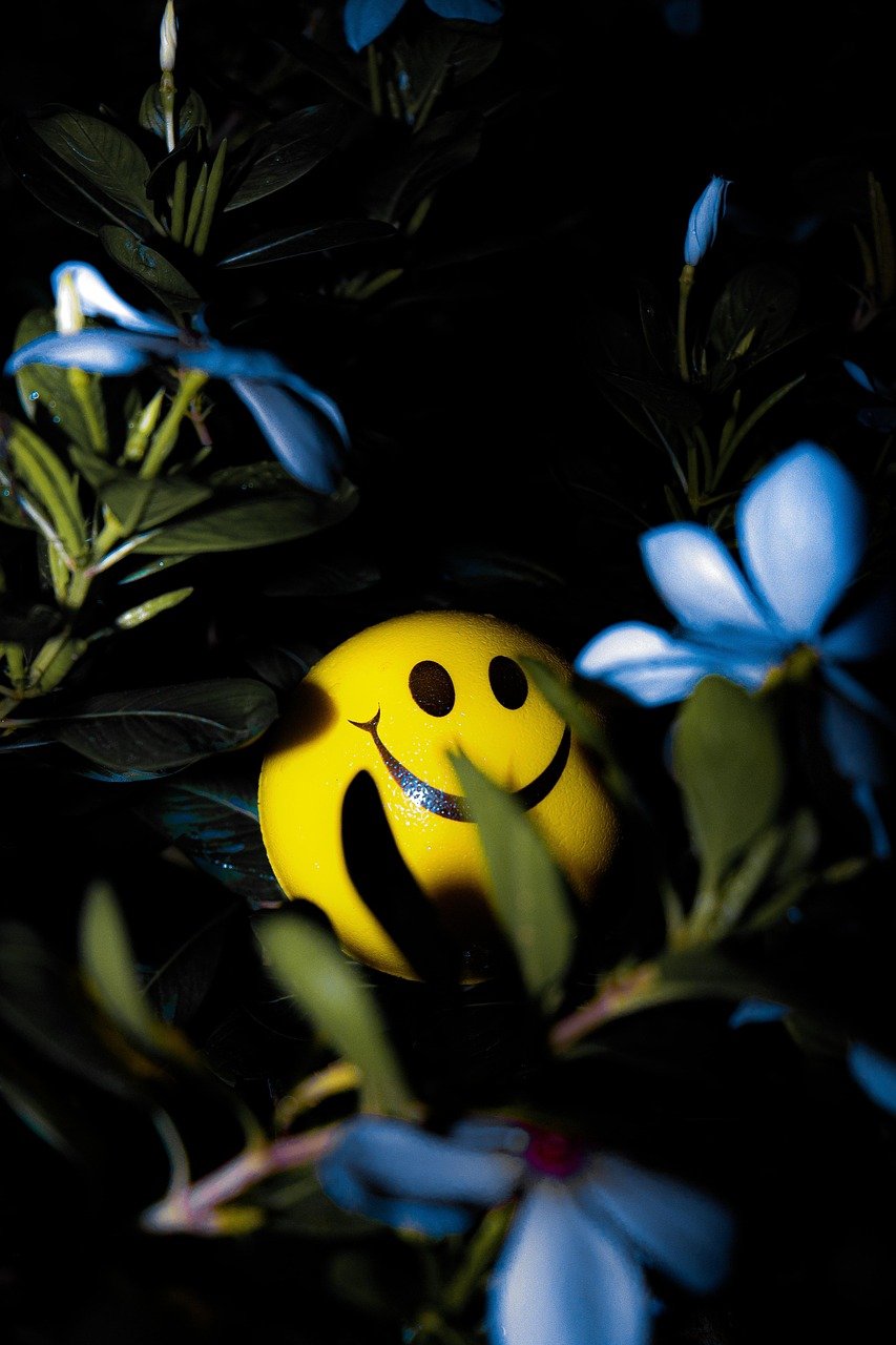 smiley, flower wallpaper, emoji, plant, alone, beautiful flowers, emoticon, emotion, nature, ball, flower background, flowers